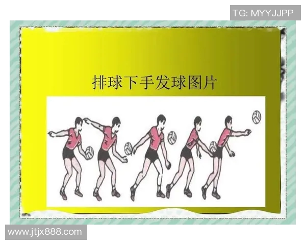 排球新手必看：从零基础到场上高手的快速入门技巧与训练方法