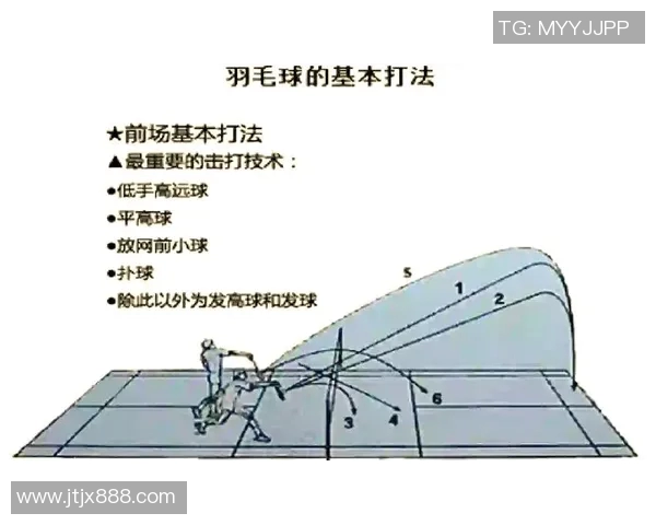 羽毛球焦点：深入分析杭州羽毛球队的速度与战术运用