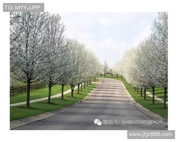 萨林杰的文学世界与心灵探索：从孤独到自我救赎的旅程