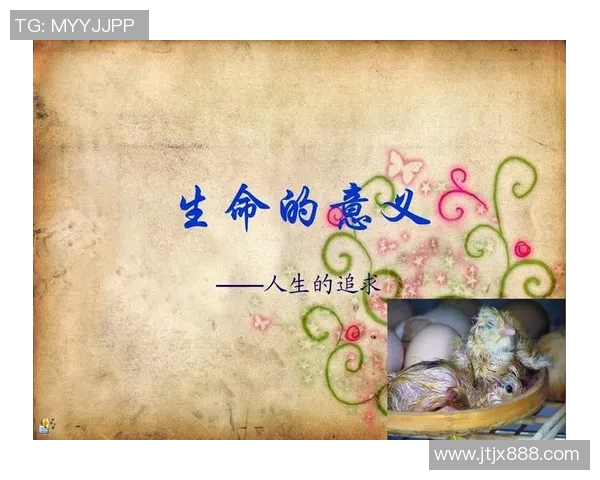 张帆的奋斗历程与成长故事探寻人生的意义与价值 张帆的奋斗历程与成长故事探寻人生的意义与价值