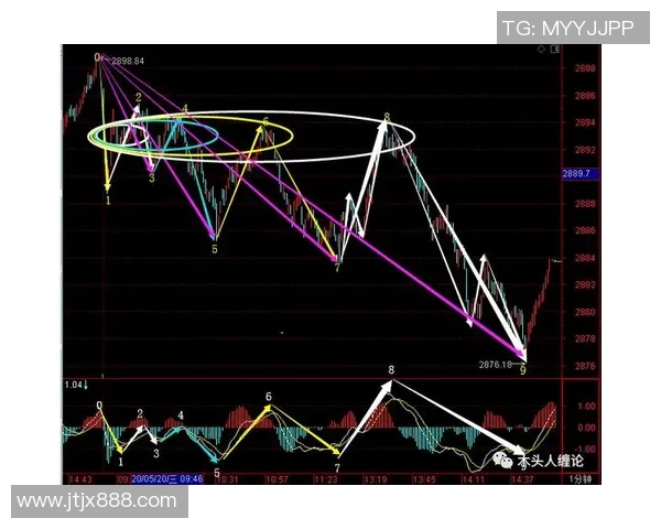 深圳飞盘队反击战术深度解析与实战应用探讨