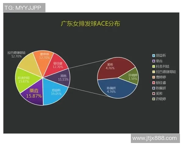 深圳排球队实力对比深度解析与未来发展趋势探讨